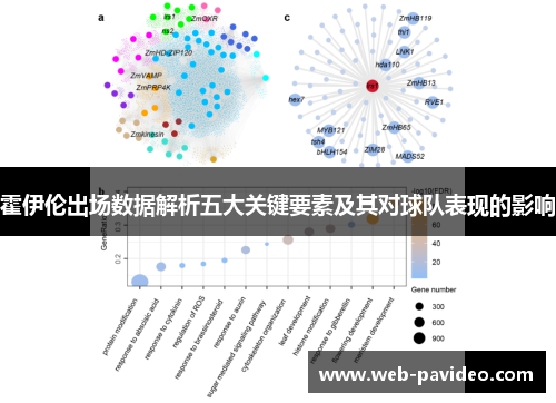 霍伊伦出场数据解析五大关键要素及其对球队表现的影响 霍伊伦出场数据解析五大关键要素及其对球队表现的影响