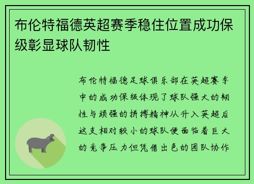 布伦特福德英超赛季稳住位置成功保级彰显球队韧性